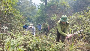 Tuyên Hóa chủ động phòng cháy chữa cháy rừng mùa nắng nóng 2025