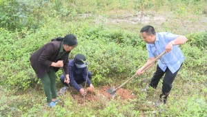 Hội Nông dân huyện tổ chức “Tết trồng cây đời đời nhớ ơn Bác Hồ” tại xã Tiến Hóa