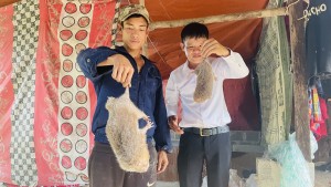 Tạo sinh kế cho bà con vùng đồng bào dân tộc