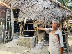 Xuất hiện dịch bệnh Viêm da nổi cục trên trâu, bò tại xã Tuyên Bình