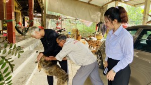 Tuyên Hóa chủ động tiêm phòng bệnh dại cho chó, mèo