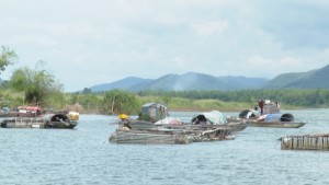 Xã Tuyên Hóa đẩy mạnh phát triển nuôi cá lồng bè trên sông