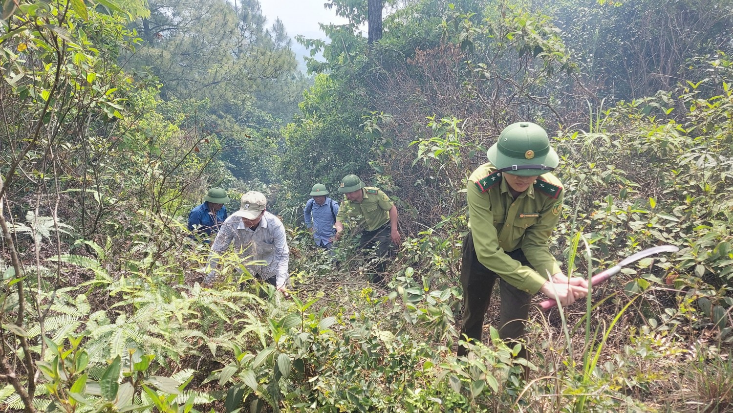 Tuyên Hóa chủ động phòng cháy chữa cháy rừng mùa nắng nóng 2025
