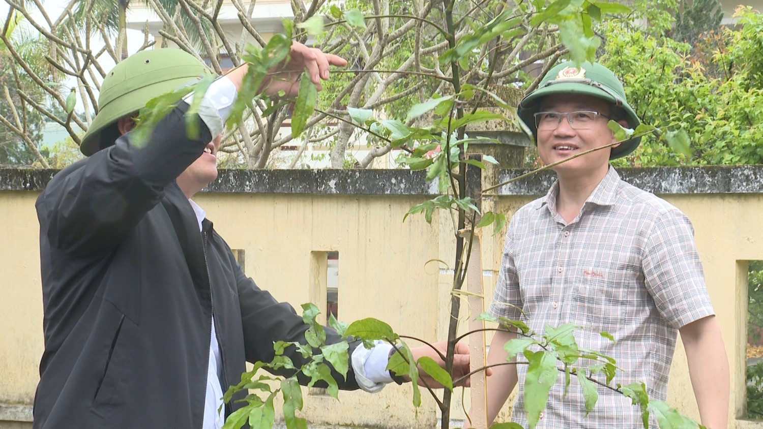 Xã Đồng Lê phát động “Tết trồng cây đời đời nhớ ơn Bác Hồ” Xuân Bính Ngọ 2026