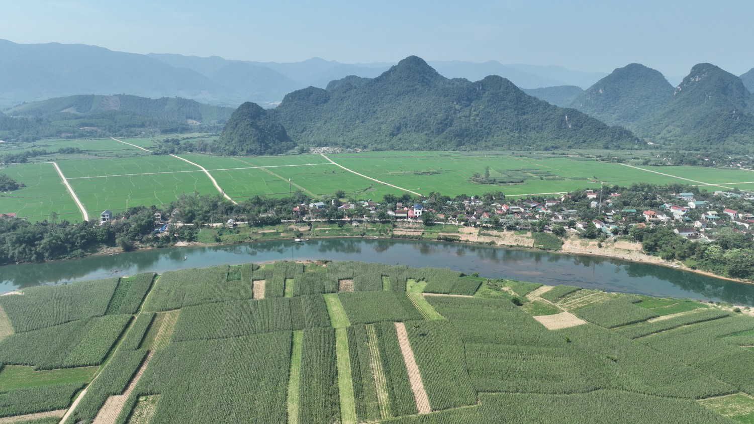 Hành trình xanh vun đắp cuộc sống