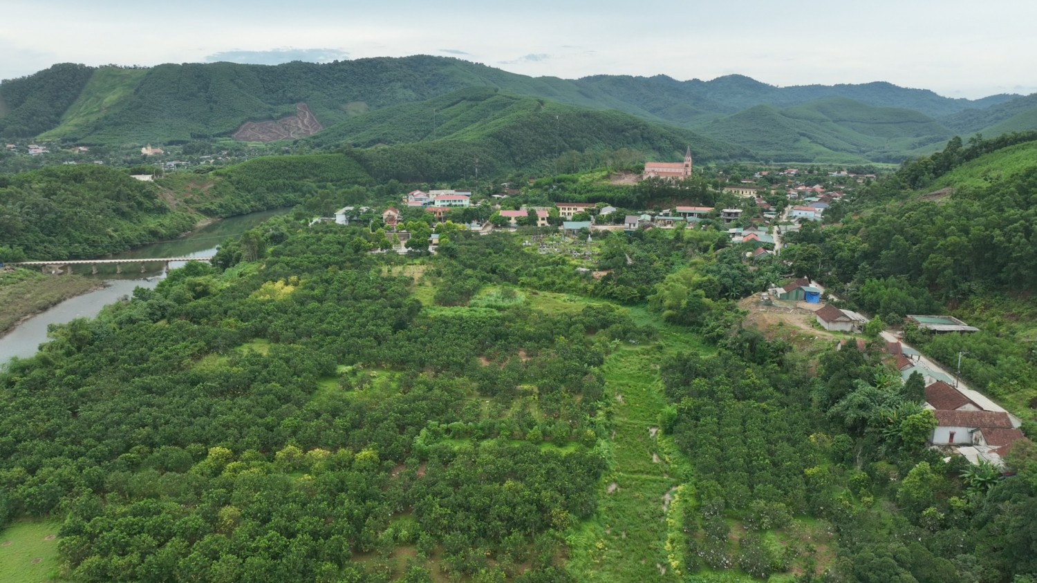 Tuyên Sơn phát triển cây ăn quả có múi