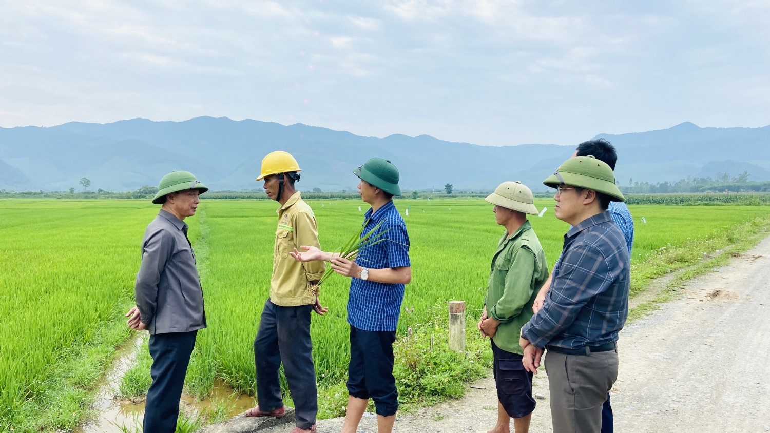 Đồng chí Bí thư Huyện uỷ kiểm tra tình hình sâu bệnh hại lúa vụ Đông - Xuân