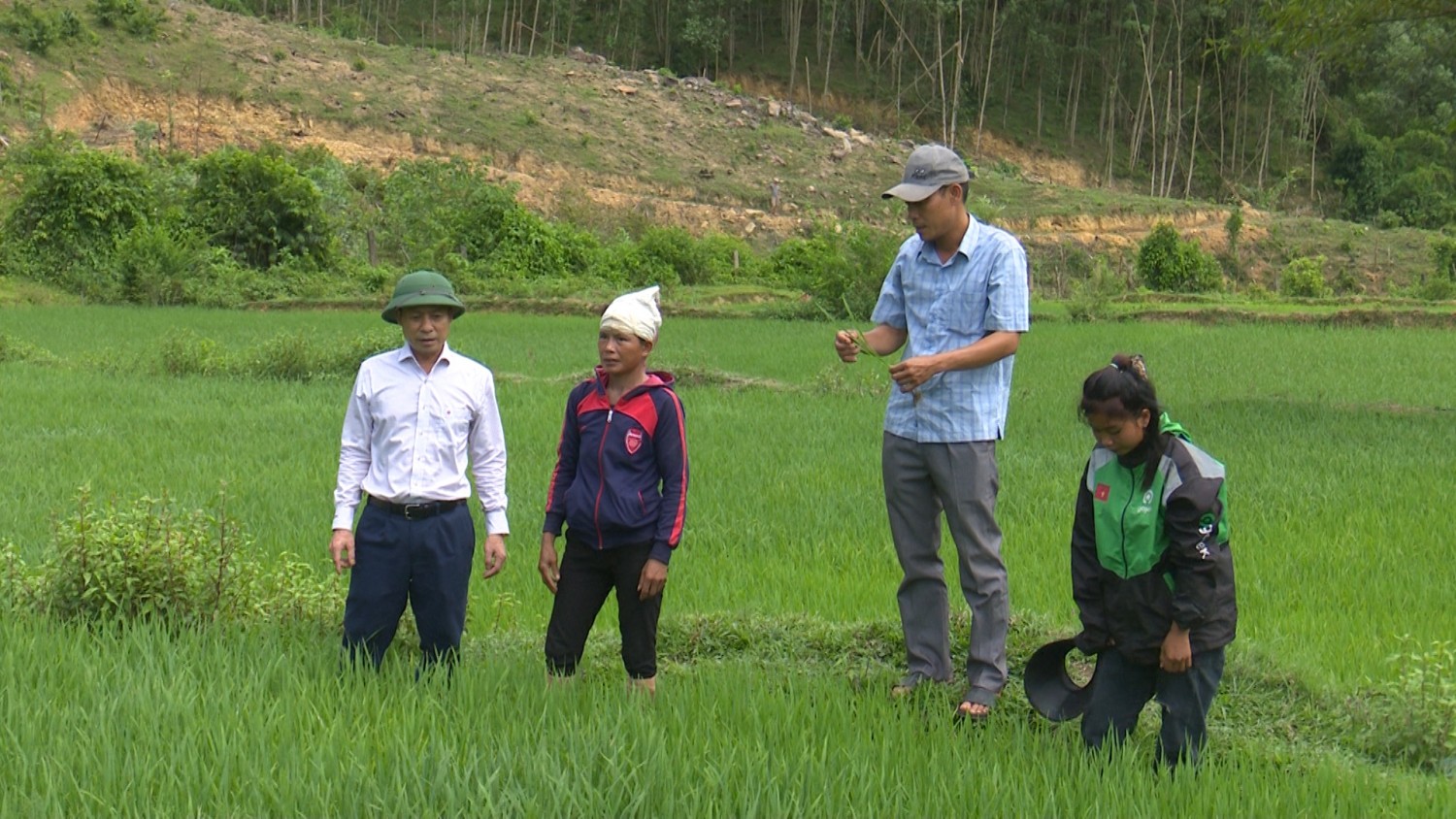 Đảm bảo sản xuất lúa vụ Hè thu tại vùng đồng bào dân tộc